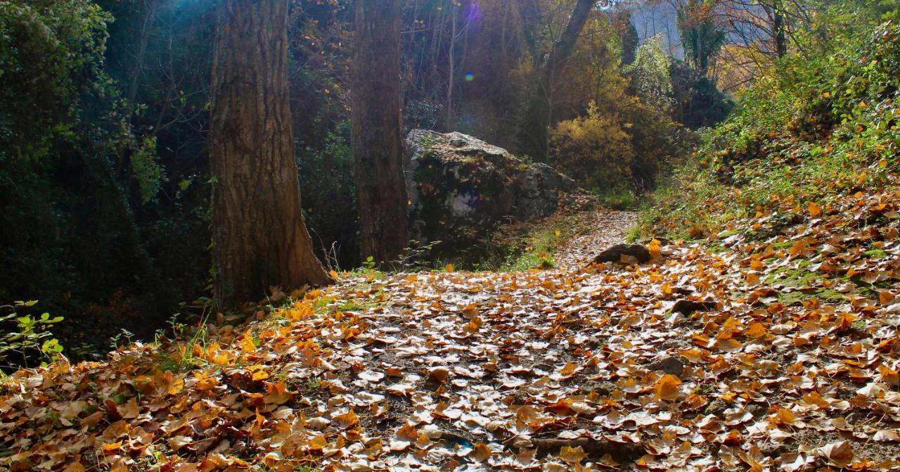 Alojamiento Rural Fuente De La Glorieta Cazorla Zewnętrze zdjęcie