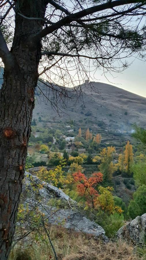 Alojamiento Rural Fuente De La Glorieta Cazorla Zewnętrze zdjęcie